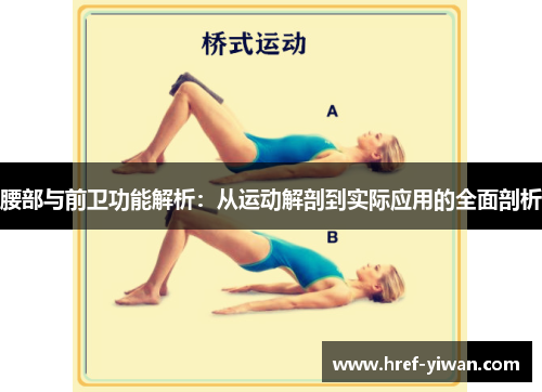 腰部与前卫功能解析：从运动解剖到实际应用的全面剖析