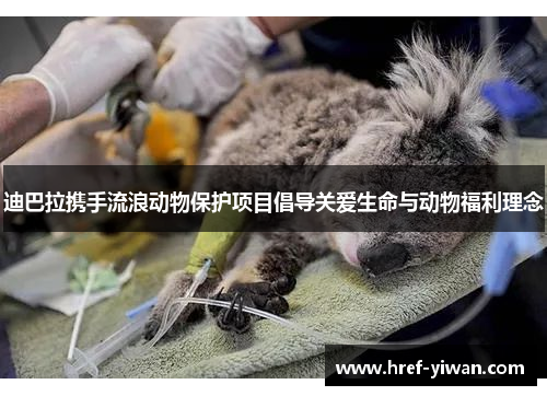 迪巴拉携手流浪动物保护项目倡导关爱生命与动物福利理念