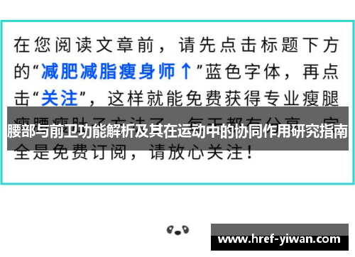 腰部与前卫功能解析及其在运动中的协同作用研究指南