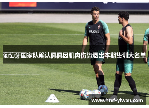 葡萄牙国家队确认佩佩因肌肉伤势退出本期集训大名单 葡萄牙国家队确认佩佩因肌肉伤势退出本期集训大名单